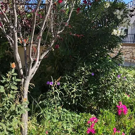 Rezervasyon Yapma Tesisi Kiralik Degil Apartamento
